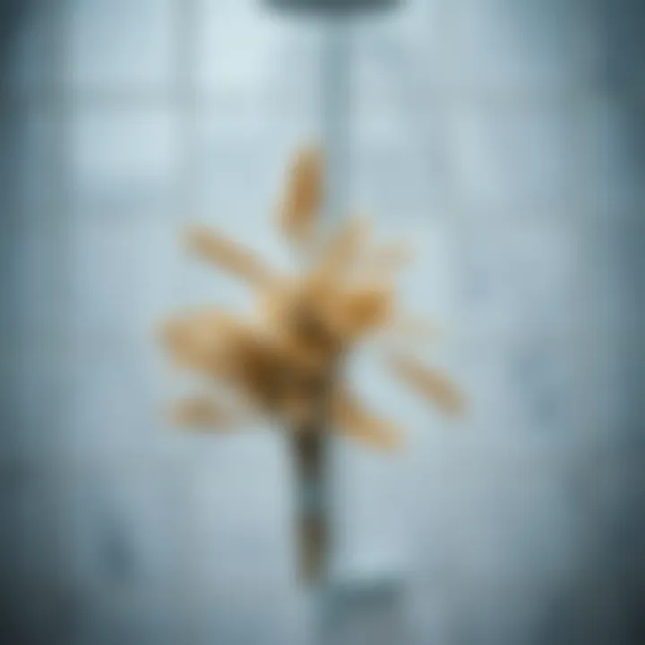Magnificent The Art of Elevating Your Shower Experience: Exploring Dried Eucalyptus