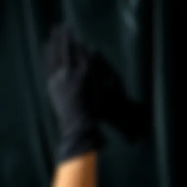 Sophisticated Black Gloves on Velvet Classic black gloves on a velvet backdrop