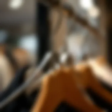 The Unique Design of Mizgi Hangers Close-up of a mizgi hanger highlighting its unique design and material quality.