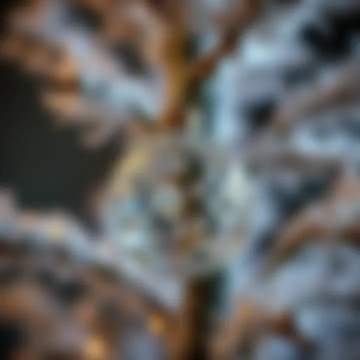 Exploring the Beauty and Elegance of Crystal Tree Ornaments Summary