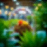 Exploring the Best Plant Watering Globes: Enhancements for Optimal Plant Care Introduction