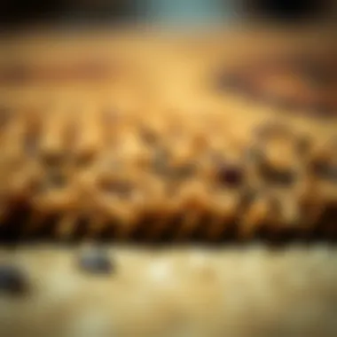 Close-up of the textures and materials used in an alien rug.