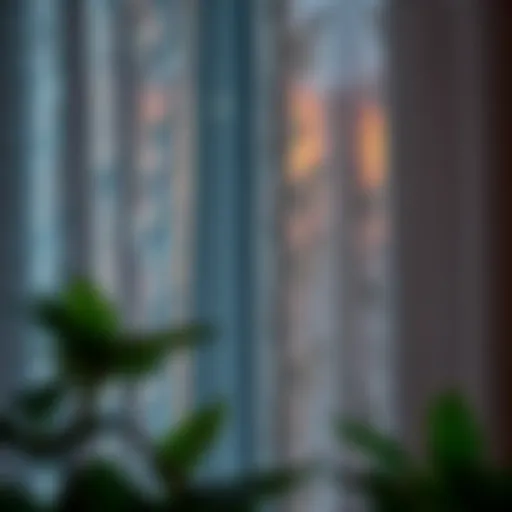 Intricate butterfly lace curtain design showcasing elegance