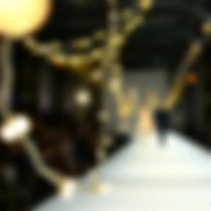 Exploring the Versatility of Battery-Operated White Fairy Lights Introduction