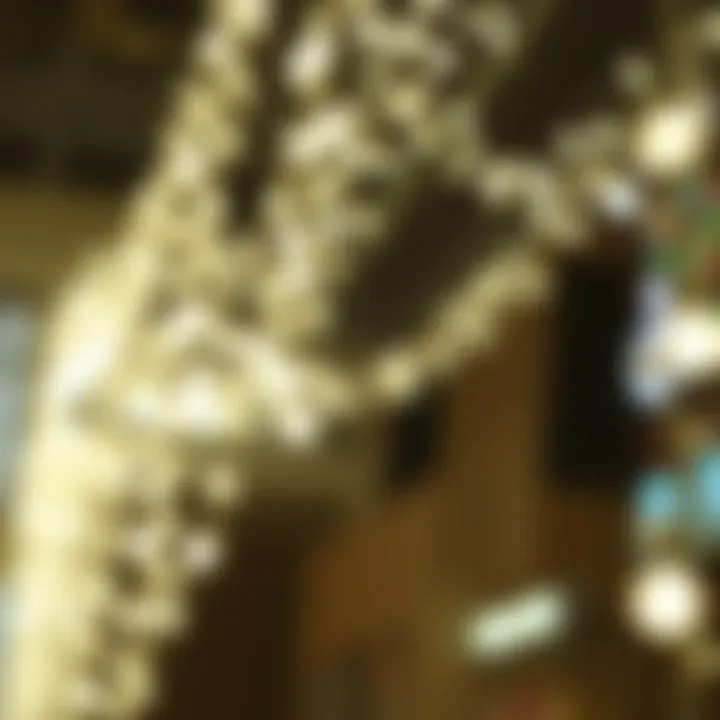 Exploring the Versatility of Battery-Operated White Fairy Lights Summary