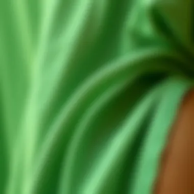 Close-up of fabric texture showcasing sustainable materials