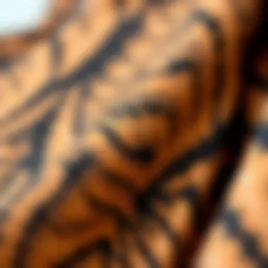 Close-up of a fabric swatch showcasing texture and pattern