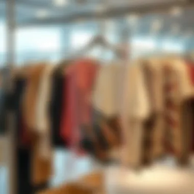 Maintenance tips for keeping hanging space bags in optimal condition