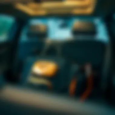 Innovative storage solutions for car seat backs