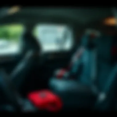 Organized storage compartments for vehicle interiors