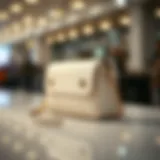 Elegant off-white phone bag showcased on a sleek surface