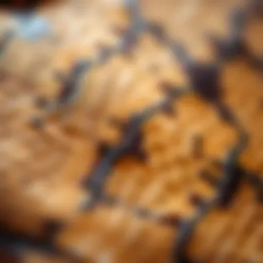 Close-up of intricate snake skin texture highlighting its luxurious appeal