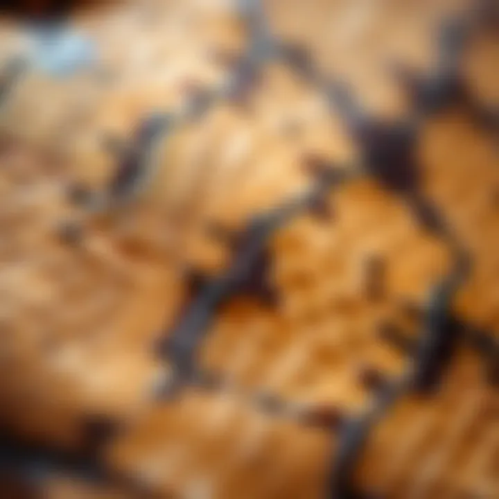 Close-up of intricate snake skin texture highlighting its luxurious appeal