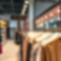 The Comprehensive Guide to Wall Mount Necklace Organizers Introduction