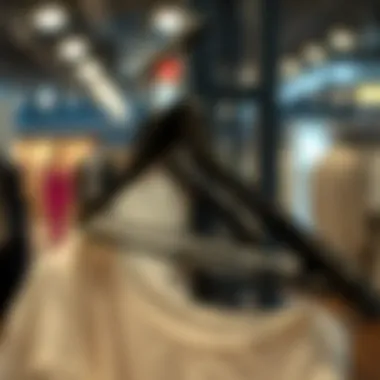 Notable The Essential Role of Clothes Hangers for Steamers