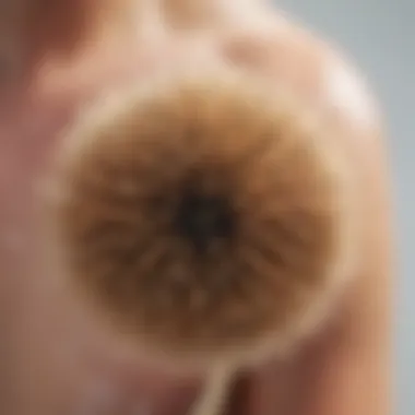 Close-up of bristles on an exfoliating body brush