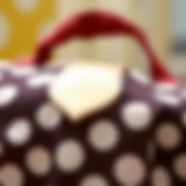 Close-up of the fabric and texture of a polka dot lunch bag