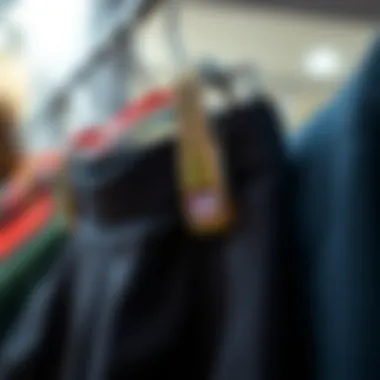 Close-up view of a clip holding a delicate fabric pant.