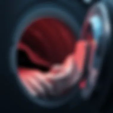 Clean dryer lint trap